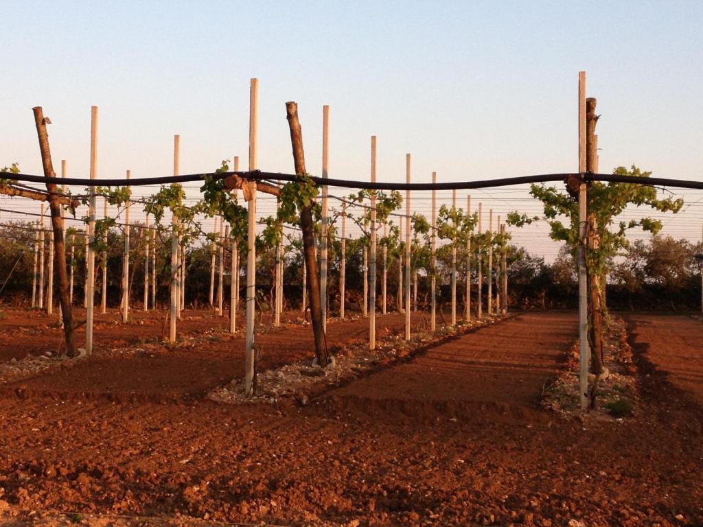 Agriturismo Terra Rossa Otranto Dış mekan fotoğraf