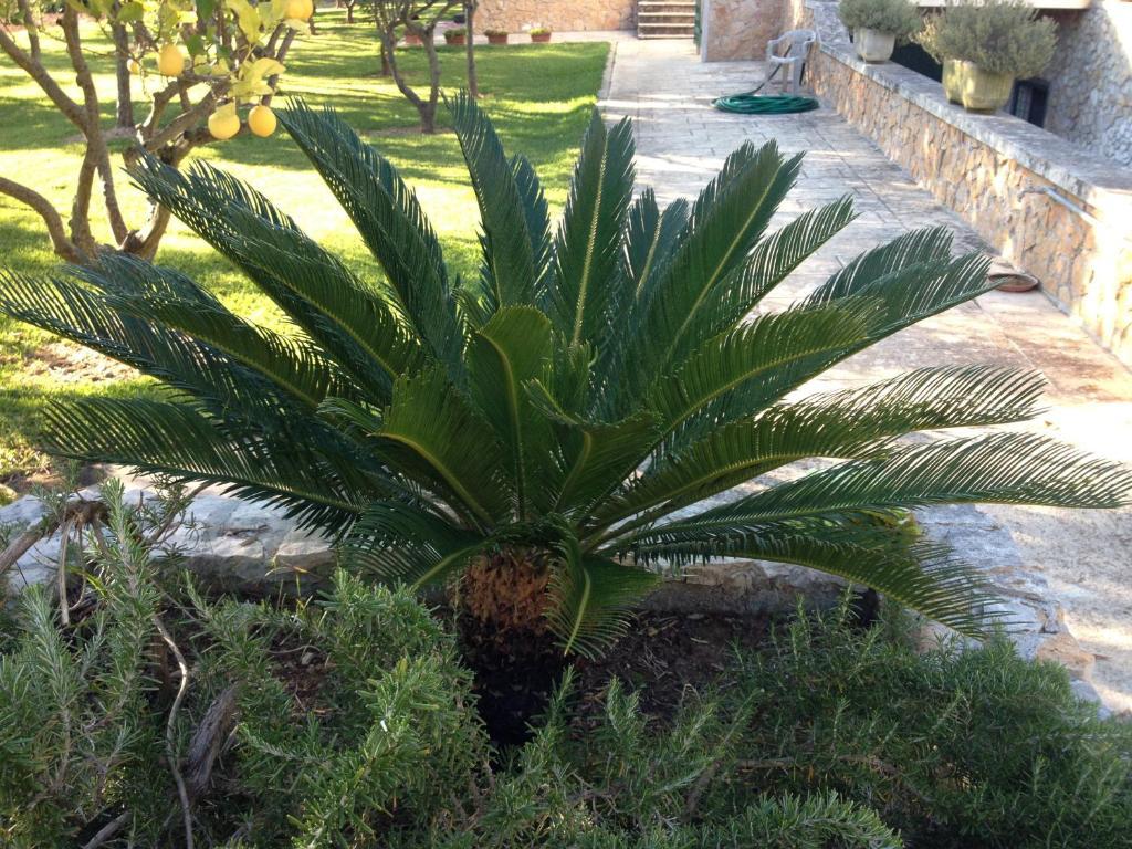 Agriturismo Terra Rossa Otranto Dış mekan fotoğraf