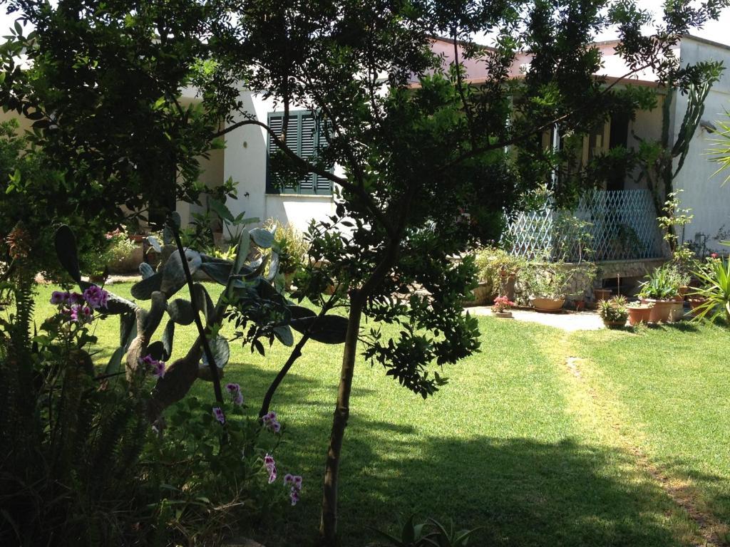 Agriturismo Terra Rossa Otranto Dış mekan fotoğraf